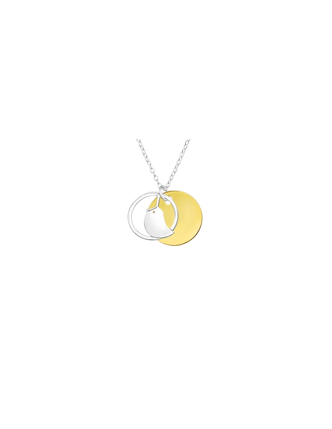 Collar de Plata 925 Modelo  22825