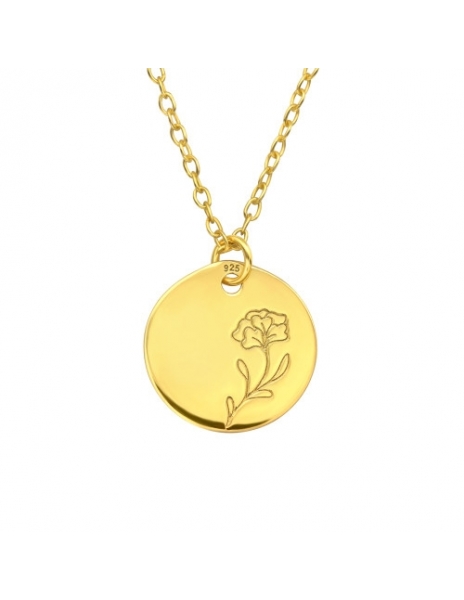 Collar de Plata 925 Bañado...