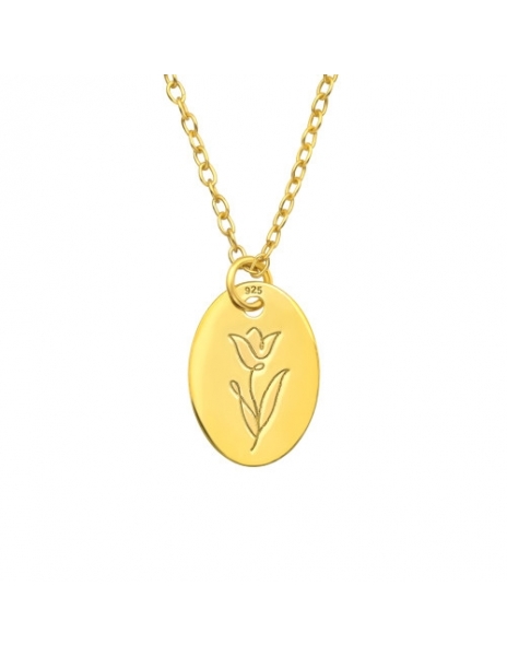 Collar de Plata 925 Bañado...