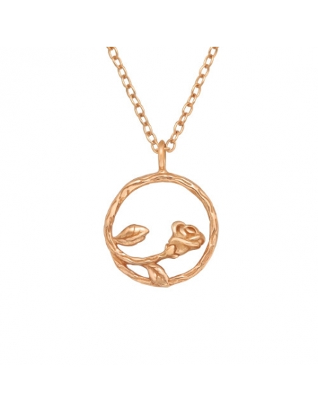 Collar de Plata 925 Bañado...