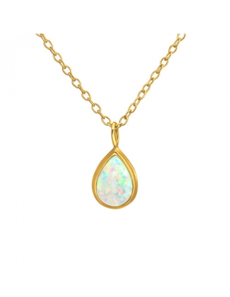 Collar de Plata 925 Bañado...