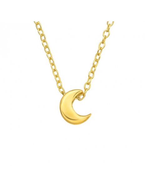 Collar de Plata 925 Bañado...