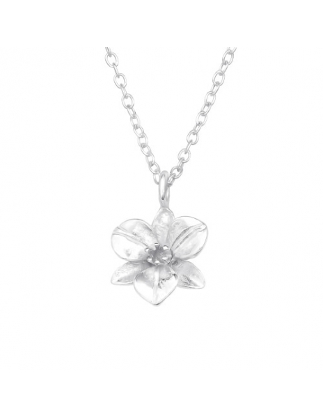 Collar de Plata 925 Modelo...