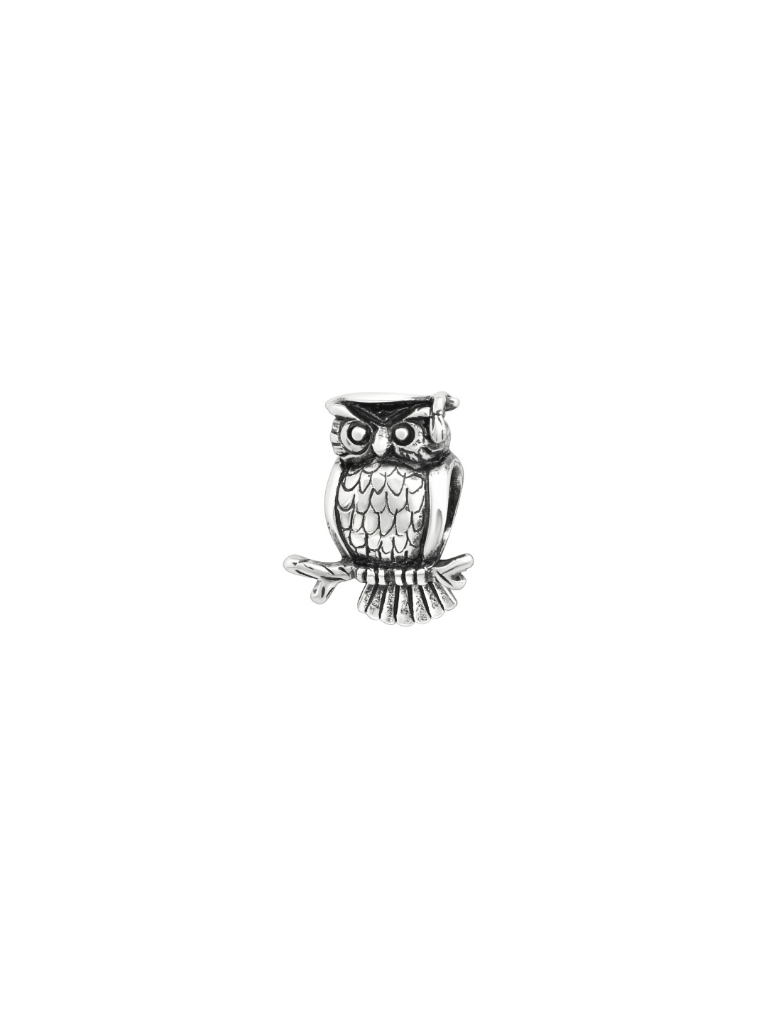 Charms de Plata 925 Owl 5734