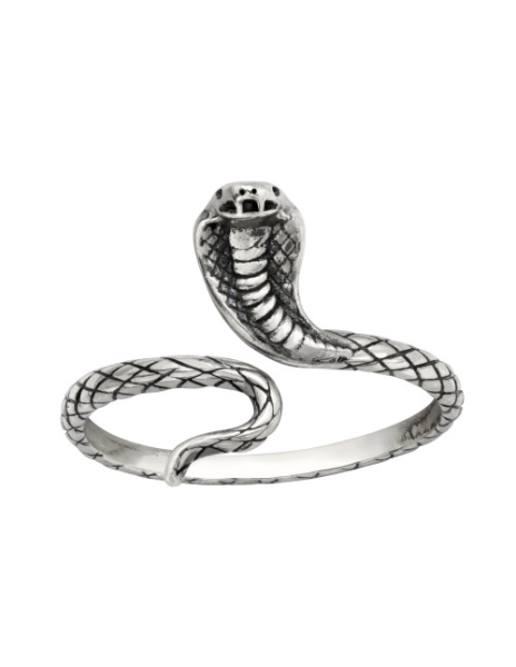 Anillo de plata 925 Snake...