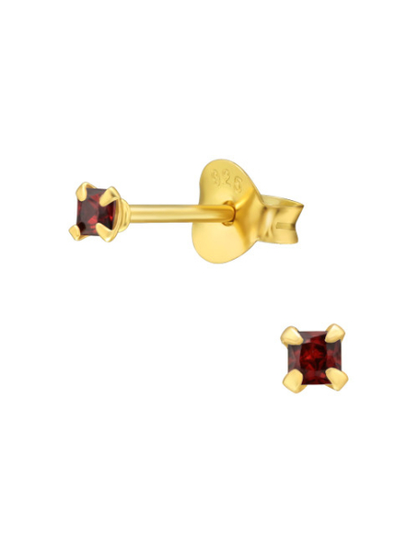 Aros de Plata Bañados en...