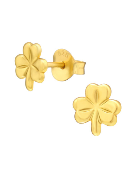 Aros de Plata Bañados en...