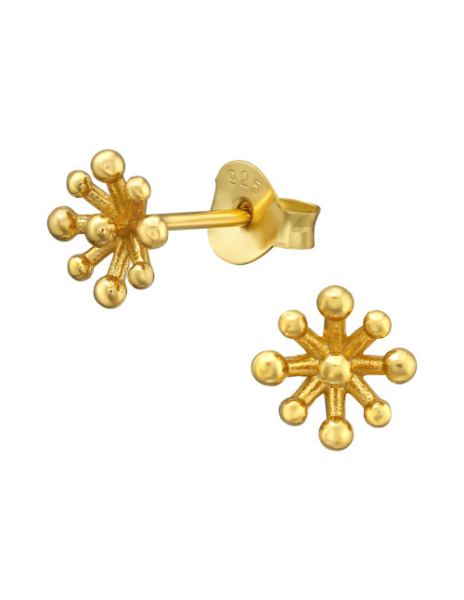 Aros de Plata Bañados en...