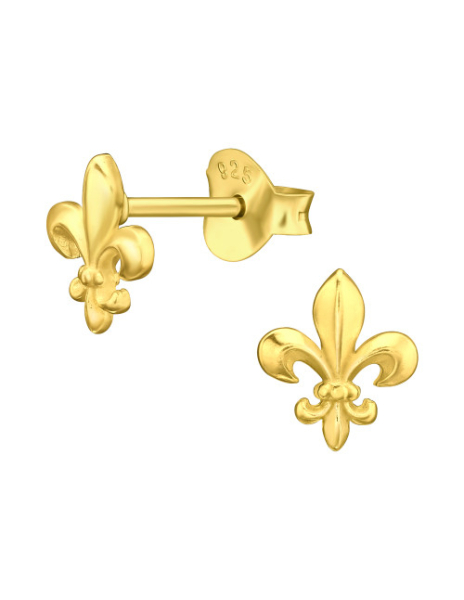 Aros de Plata Bañados en...