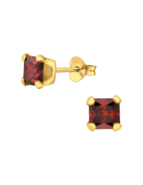 Aros de Plata Bañados en...