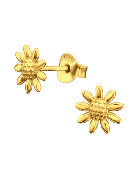 Aros de Plata Bañados en...