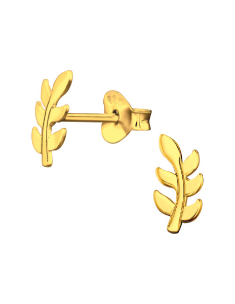 Aros de Plata Bañados en...