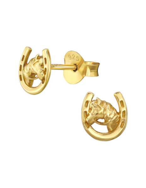 Aros de Plata Bañados en...