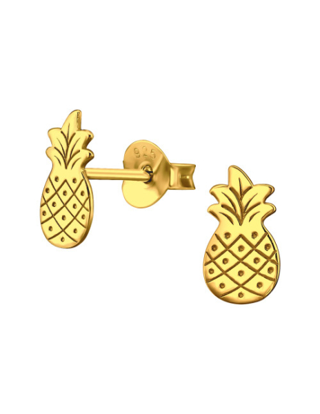 Aros de Plata Bañados en...