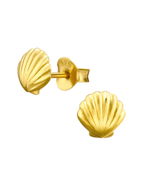 Aros de Plata Bañados en...