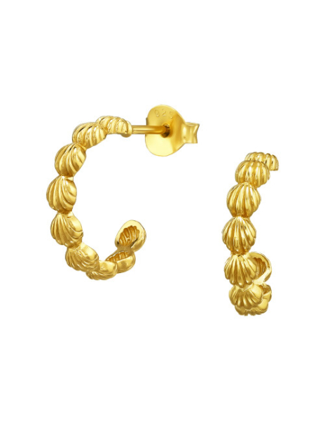 Aros de Plata Bañados en...