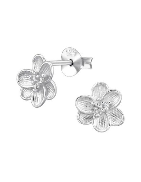 Aros de Plata Frangipani... 2